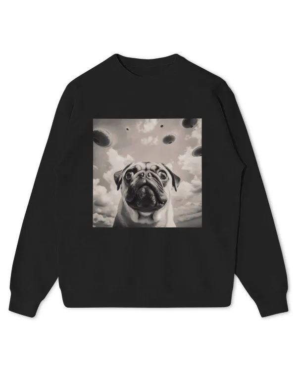 Kids Standard Sweatshirt
