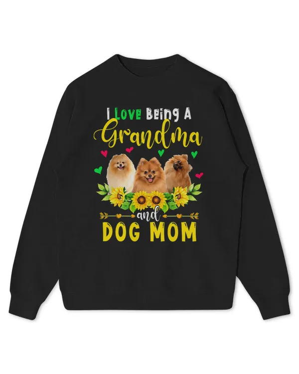 Kids Standard Sweatshirt
