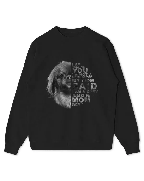 Kids Standard Sweatshirt