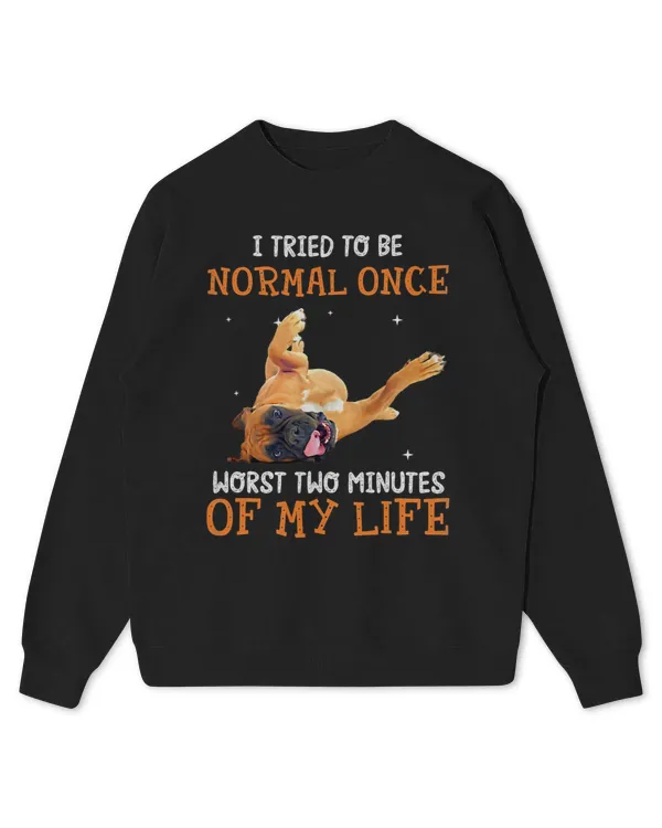 Kids Standard Sweatshirt