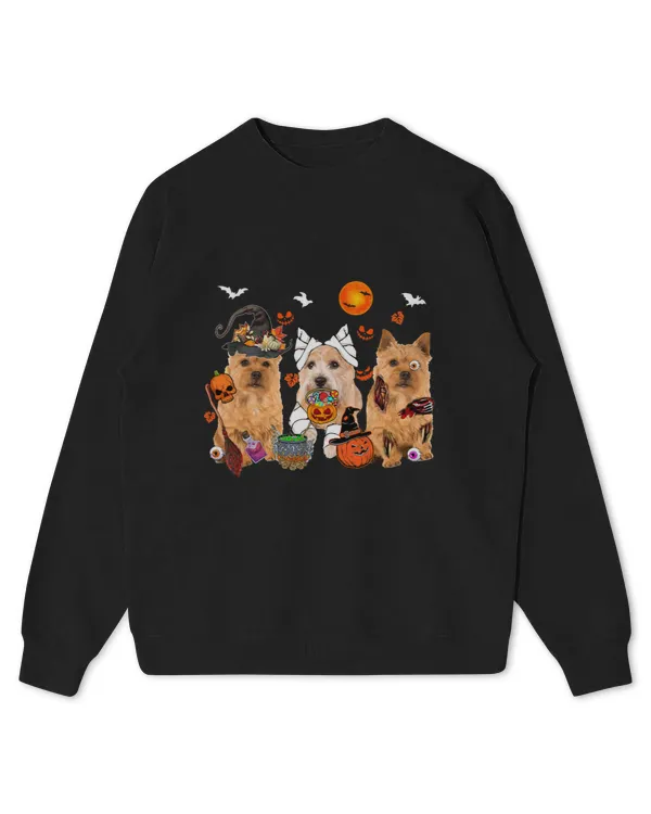 Kids Standard Sweatshirt