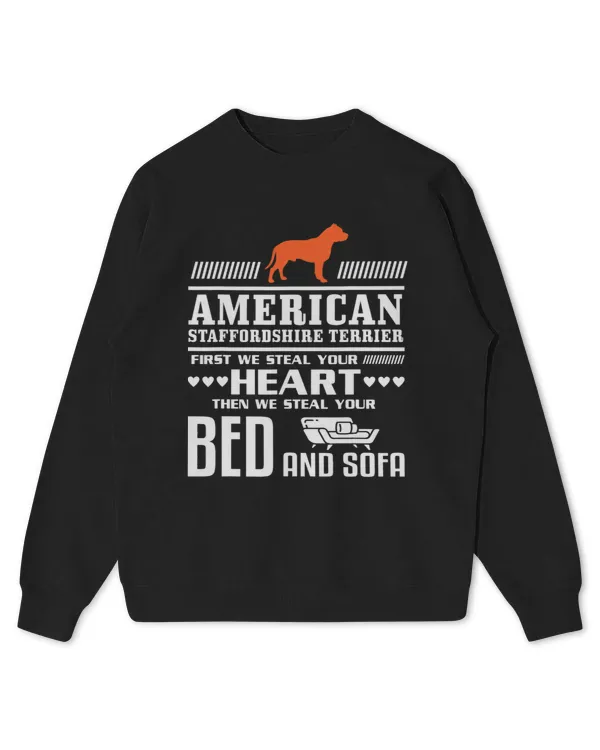 Kids Standard Sweatshirt