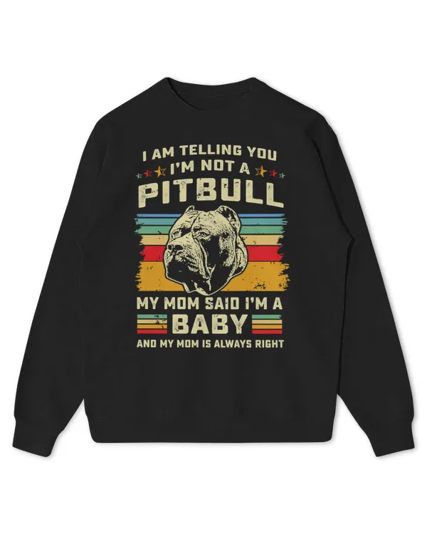 Kids Standard Sweatshirt