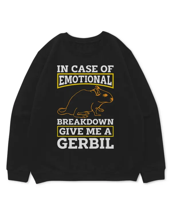 Kids Standard Sweatshirt