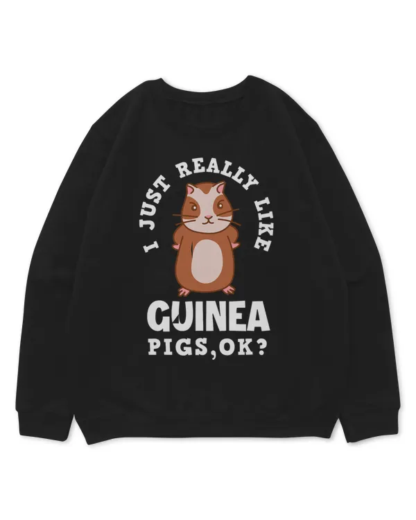 Kids Standard Sweatshirt