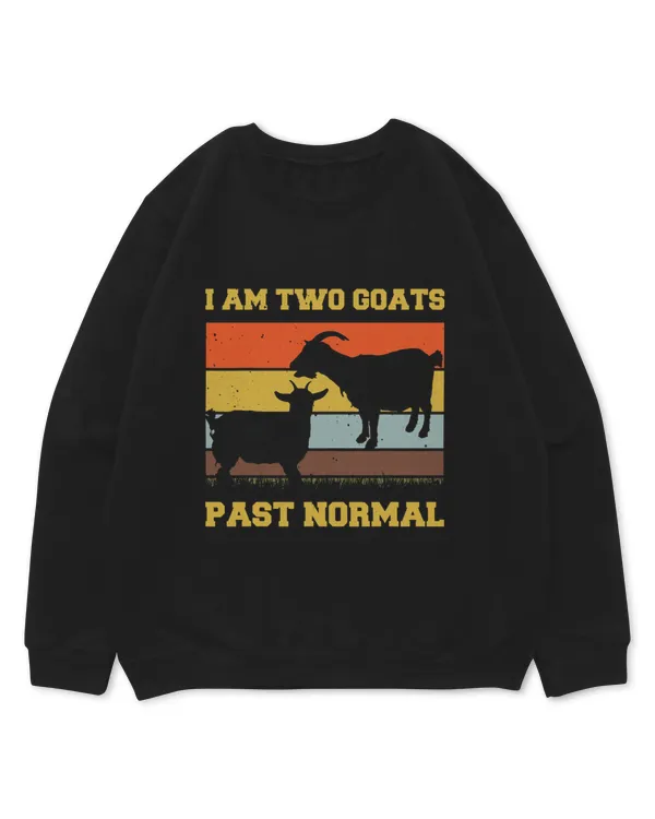 Kids Standard Sweatshirt