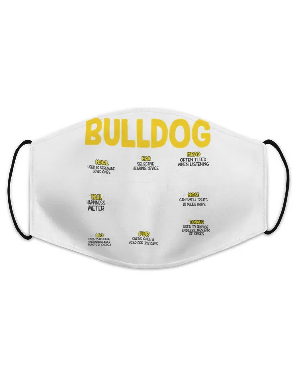 Face Mask - US