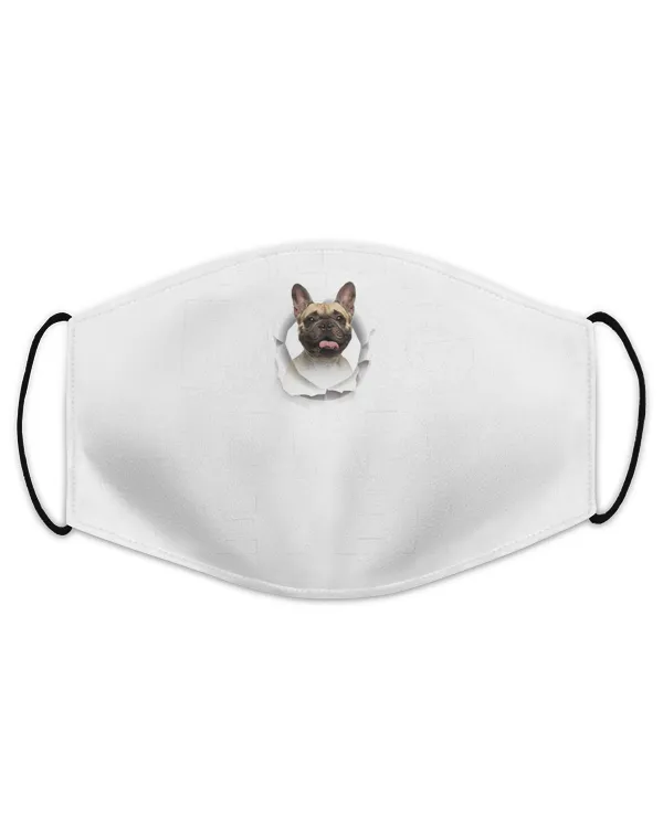 Face Mask - US