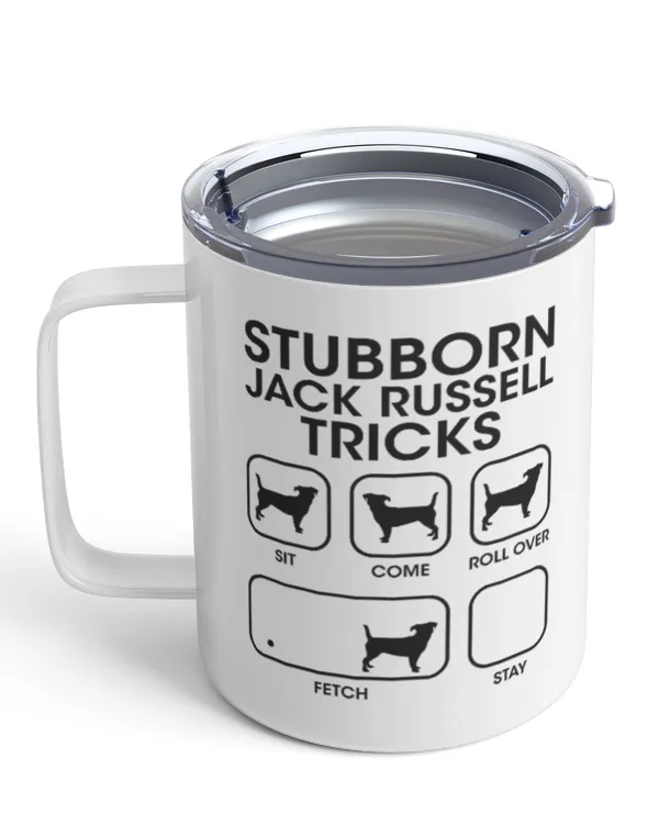 Insulated Mug