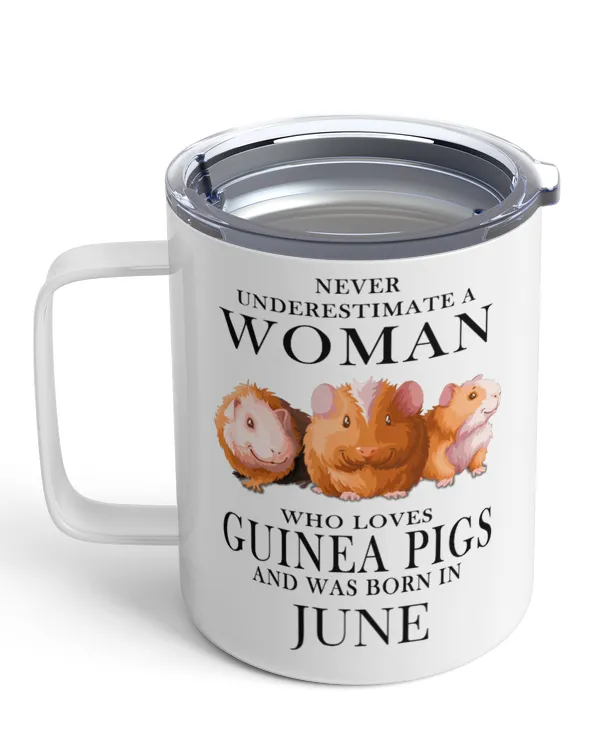 Insulated Mug
