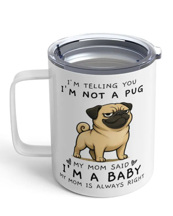 Insulated Mug