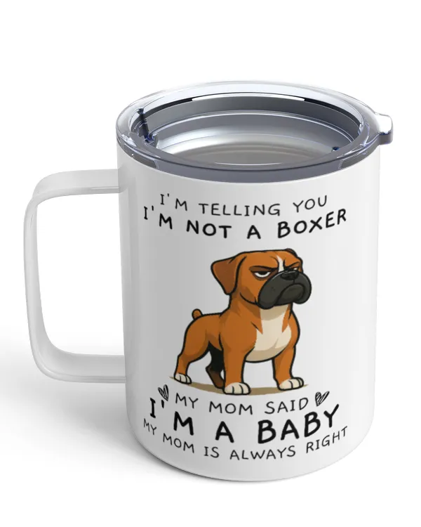 Insulated Mug