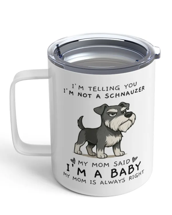 Insulated Mug