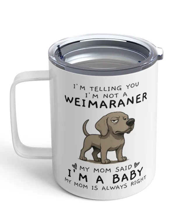 Insulated Mug