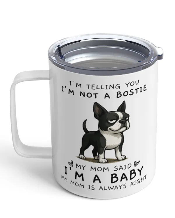 Insulated Mug