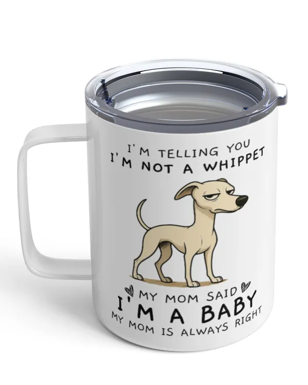 Insulated Mug