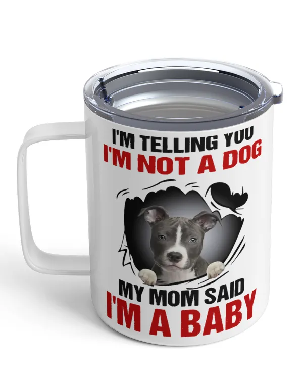 Insulated Mug