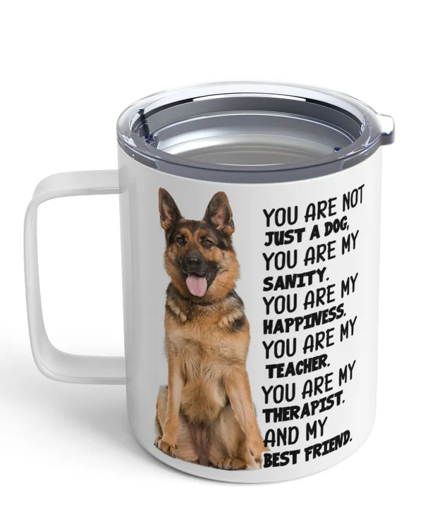 Insulated Mug