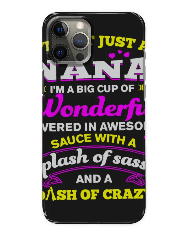 Snap Case - iP 12