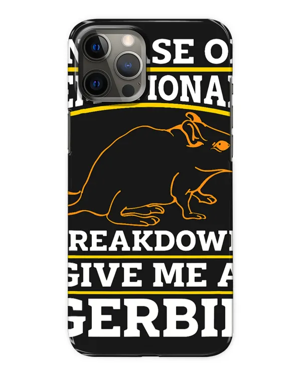 Snap Case - iP 12