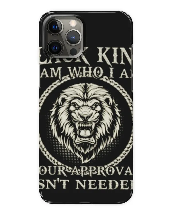 Snap Case - iP 12