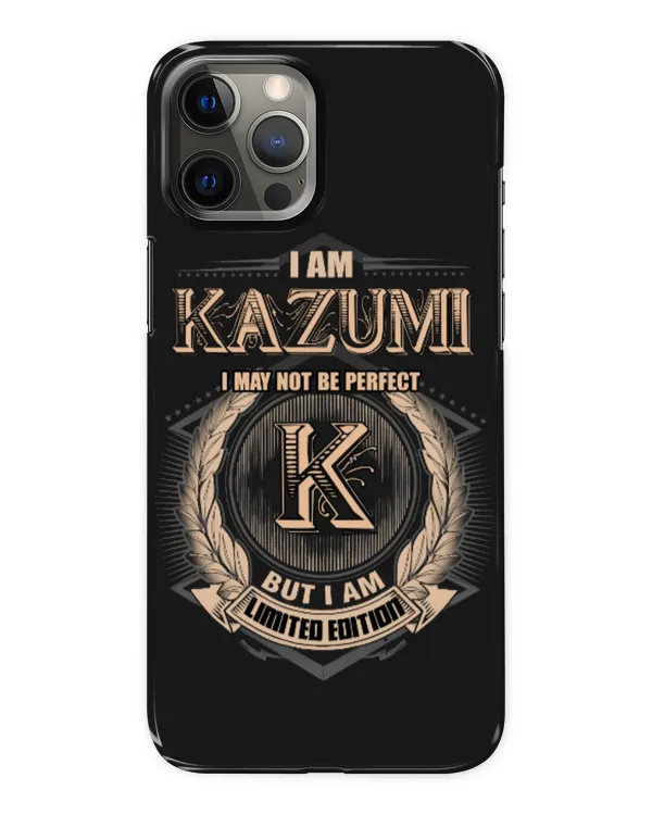 Snap Case - iP 12