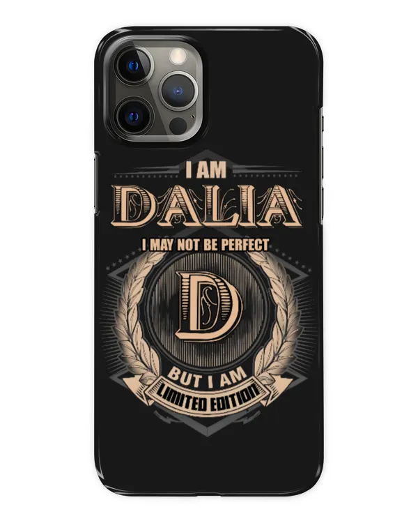 Snap Case - iP 12