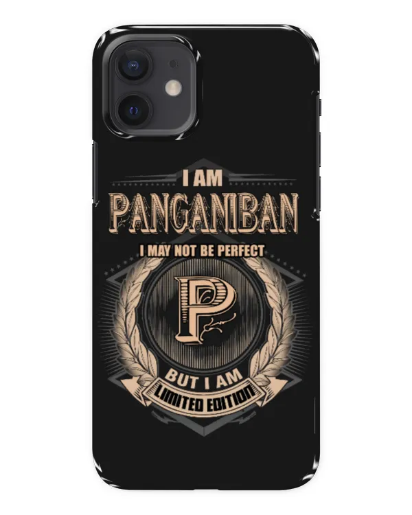 Snap Case - iP 12 mini