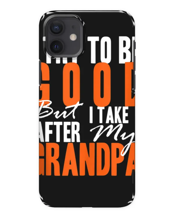 Snap Case - iP 12 mini