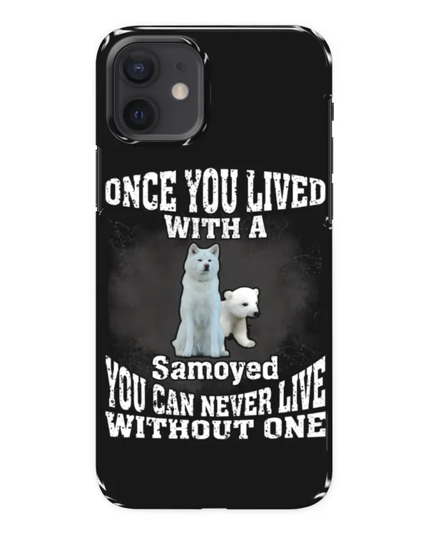 Snap Case - iP 12 mini