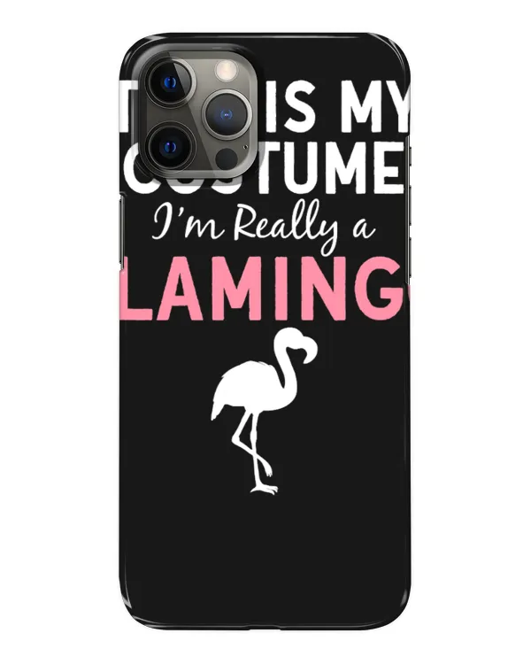 Snap Case - iP 12 Pro Max