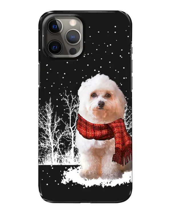 Snap Case - iP 12 Pro Max