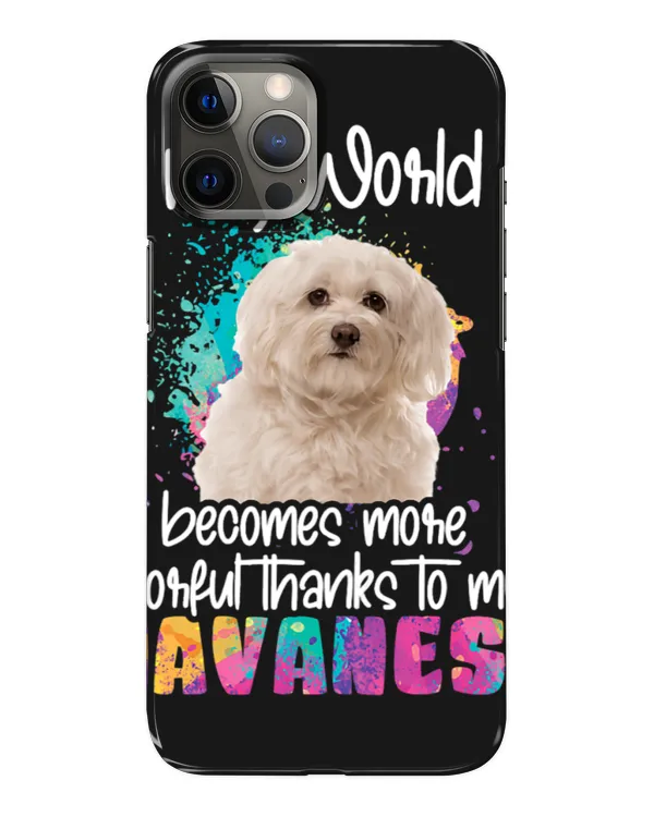 Snap Case - iP 12 Pro Max