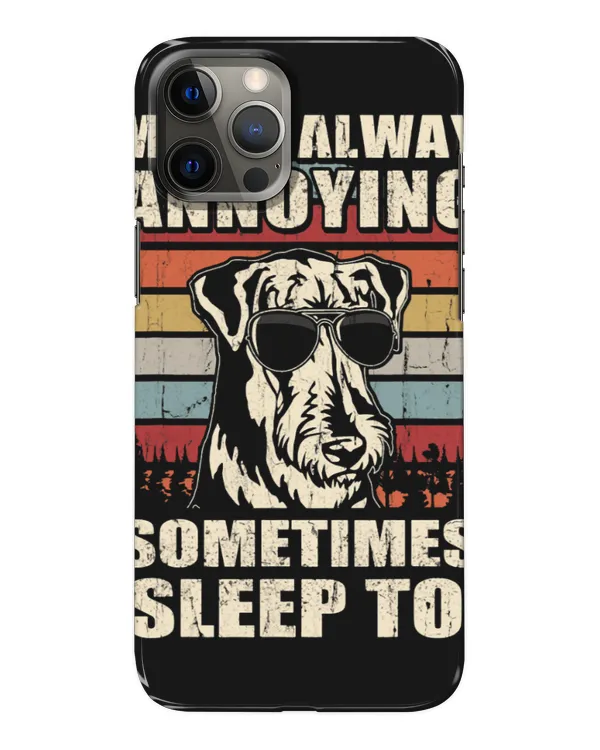 Snap Case - iP 12 Pro Max
