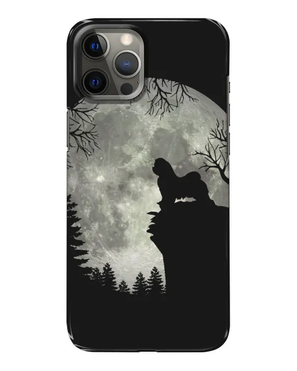 Snap Case - iP 12 Pro Max
