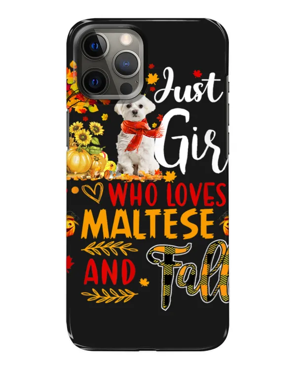 Snap Case - iP 12 Pro Max