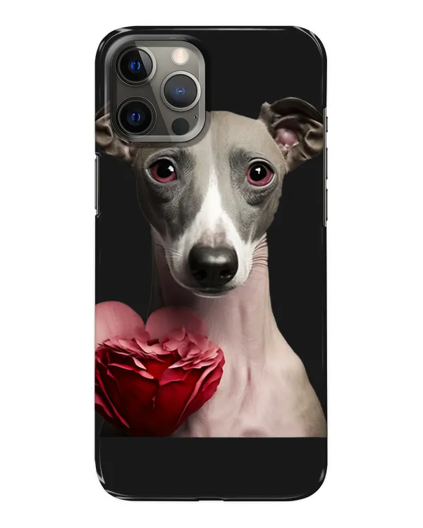 Snap Case - iP 12 Pro Max