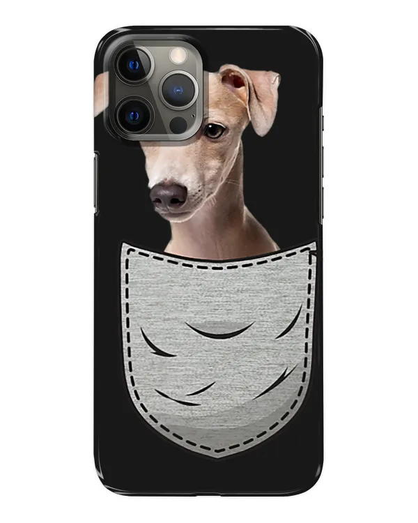 Snap Case - iP 12 Pro Max