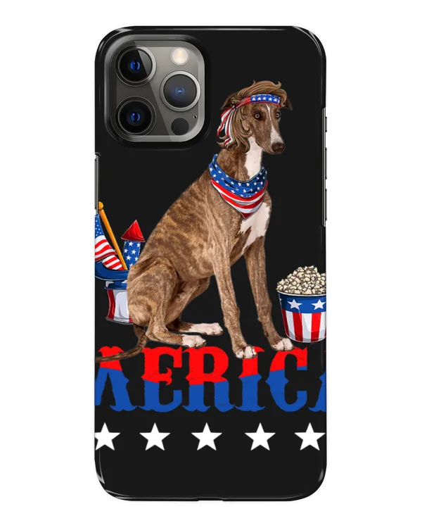 Snap Case - iP 12 Pro Max