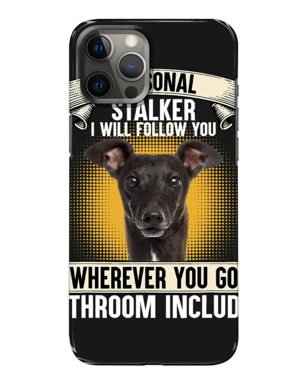 Snap Case - iP 12 Pro Max