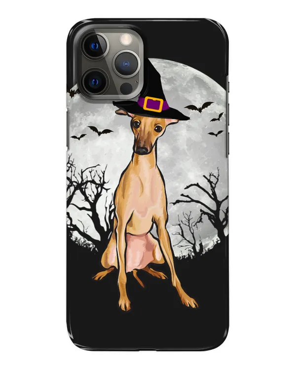 Snap Case - iP 12 Pro Max