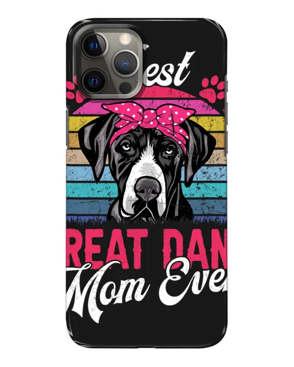 Snap Case - iP 12 Pro Max