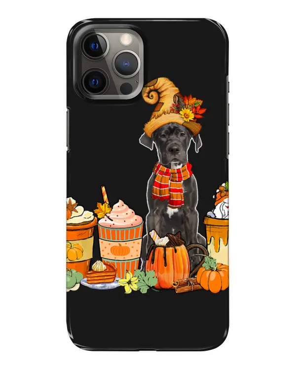 Snap Case - iP 12 Pro Max