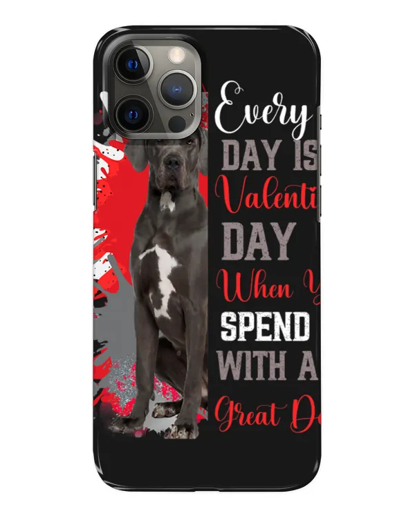 Snap Case - iP 12 Pro Max