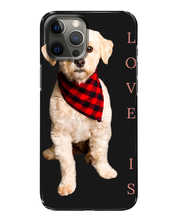 Snap Case - iP 12 Pro Max