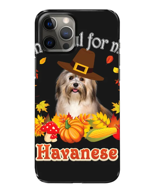 Snap Case - iP 12 Pro Max