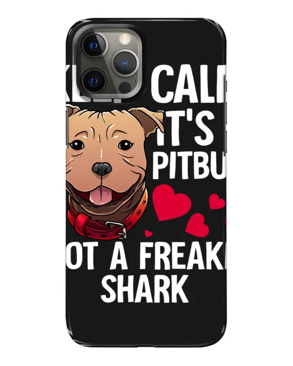Snap Case - iP 12 Pro Max
