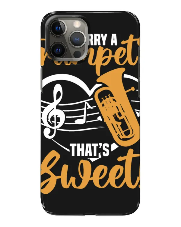 Snap Case - iP 12 Pro Max