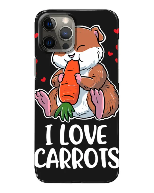 Snap Case - iP 12 Pro Max