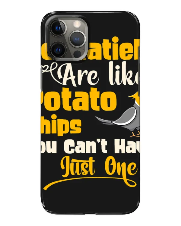 Snap Case - iP 12 Pro Max